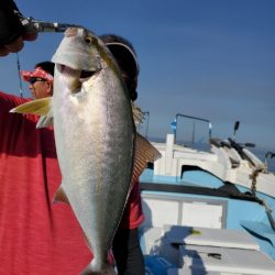 海晴丸 釣果