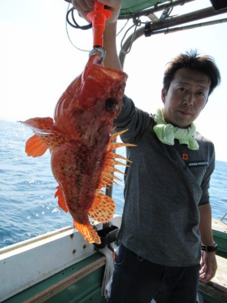 真祐丸 （しんゆうまる） 釣果