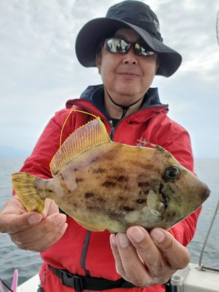 海晴丸 釣果