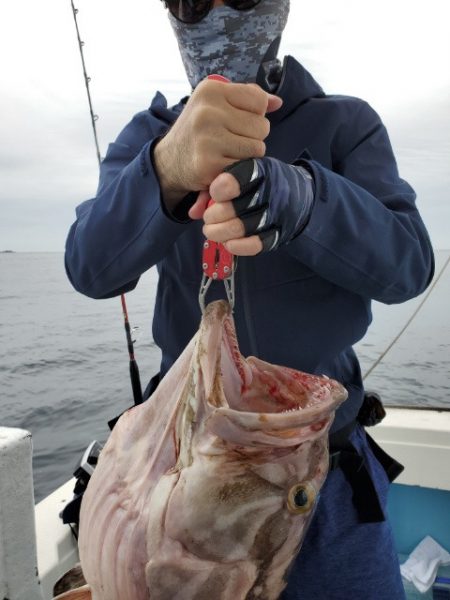 海晴丸 釣果