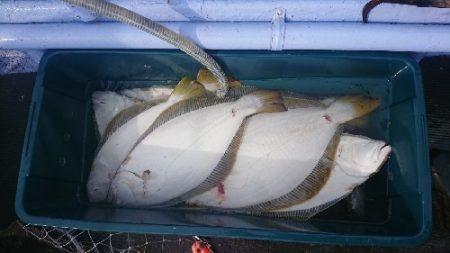 小樽港遊漁船SHAKE 釣果