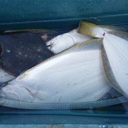 小樽港遊漁船SHAKE 釣果