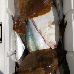 海龍丸(石川) 釣果