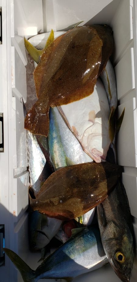 海龍丸（石川） 釣果