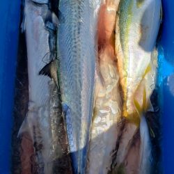 海龍丸(石川) 釣果