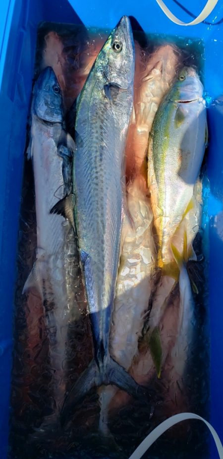 海龍丸(石川) 釣果