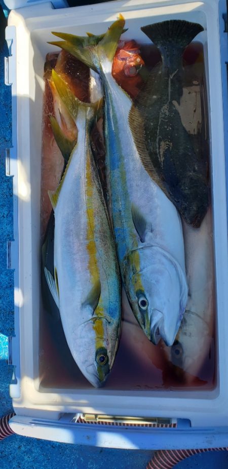 海龍丸(石川) 釣果