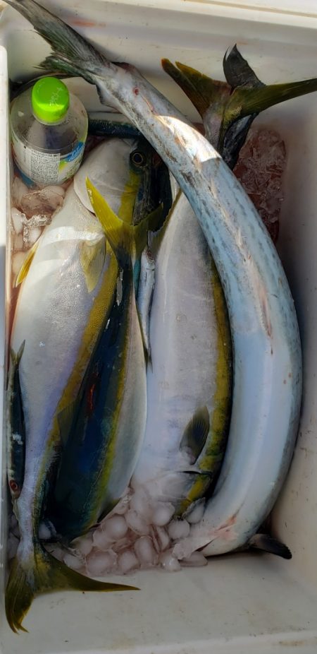 海龍丸(石川) 釣果