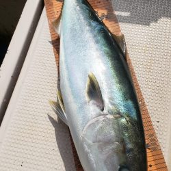 釣人家 釣果