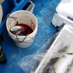 海龍丸(石川) 釣果