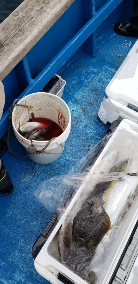 海龍丸(石川) 釣果