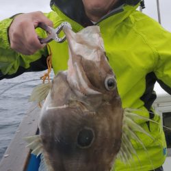 海龍丸(石川) 釣果