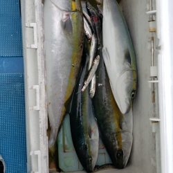 海龍丸(石川) 釣果