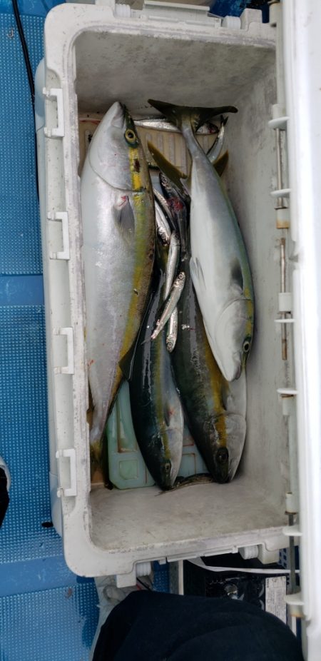 海龍丸(石川) 釣果