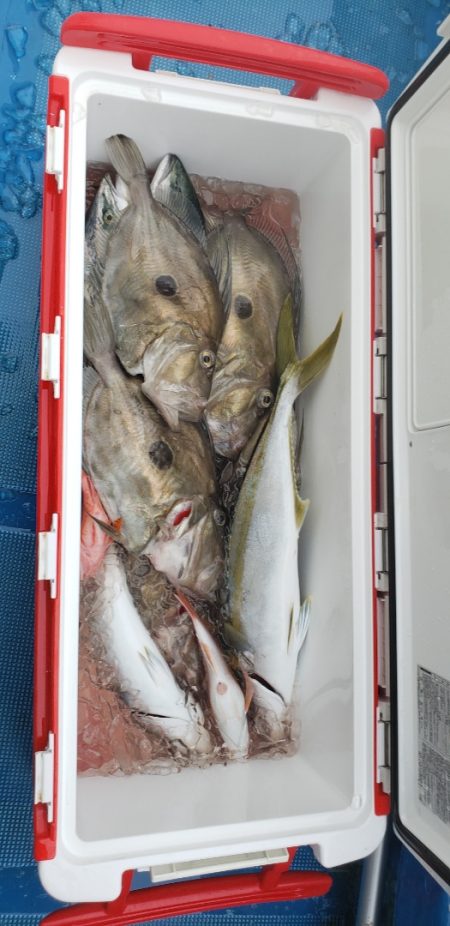 海龍丸（石川） 釣果