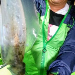 小島丸 釣果