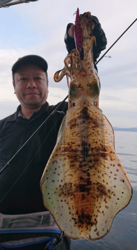 シースナイパー海龍 釣果