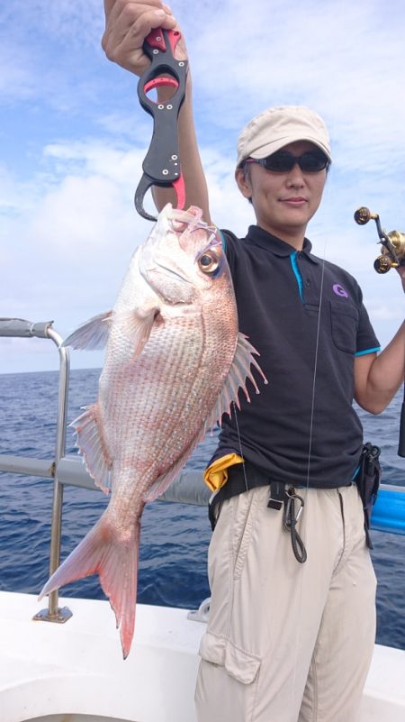 ARCADIAⅡ (アルカディアⅡ) 釣果