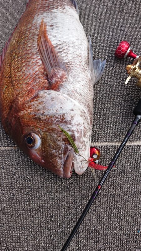 ARCADIAⅡ (アルカディアⅡ) 釣果