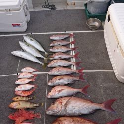 ARCADIAⅡ (アルカディアⅡ) 釣果