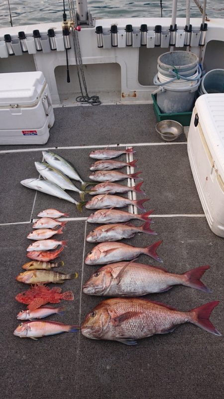 ARCADIAⅡ (アルカディアⅡ) 釣果