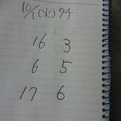 金沢八景鴨下丸 釣果