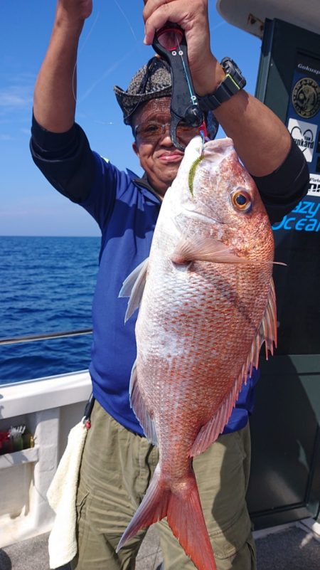 ARCADIAⅡ (アルカディアⅡ) 釣果