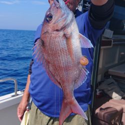 ARCADIAⅡ (アルカディアⅡ) 釣果