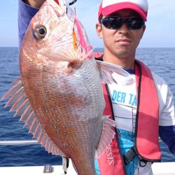 ARCADIAⅡ (アルカディアⅡ) 釣果