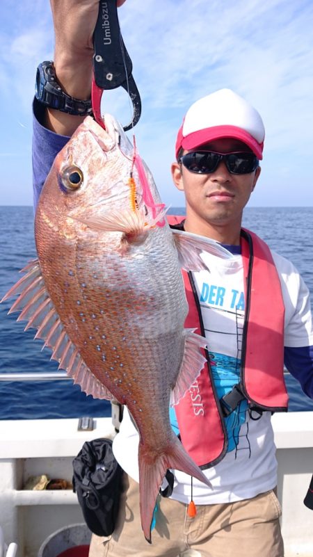 ARCADIAⅡ (アルカディアⅡ) 釣果