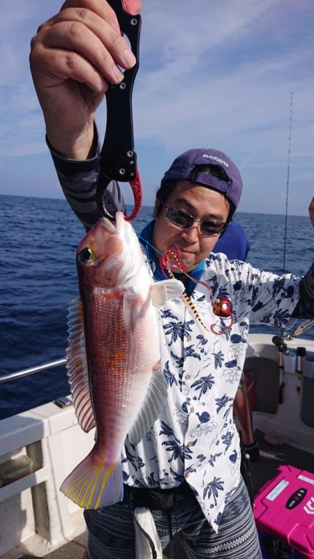 ARCADIAⅡ (アルカディアⅡ) 釣果