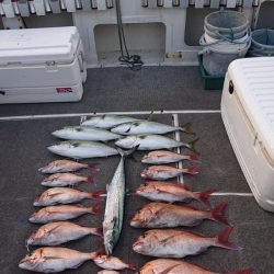 ARCADIAⅡ (アルカディアⅡ) 釣果