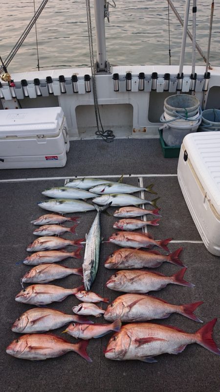 ARCADIAⅡ (アルカディアⅡ) 釣果