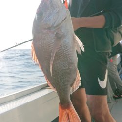 だて丸 釣果
