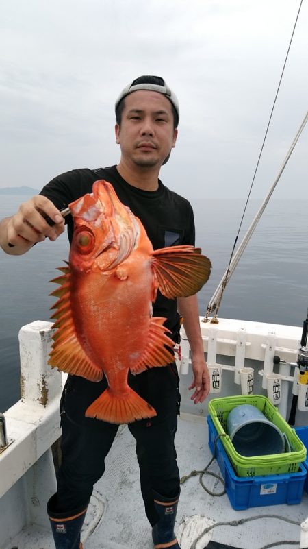 LUSTER『ラスター』 釣果