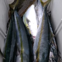 LUSTER『ラスター』 釣果