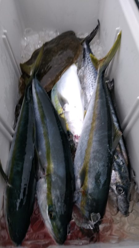 LUSTER『ラスター』 釣果