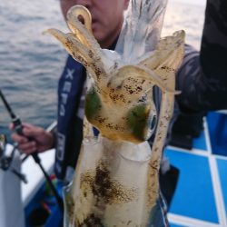 第三共栄丸 釣果