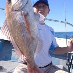 だて丸 釣果