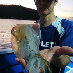 第三共栄丸 釣果