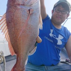 だて丸 釣果