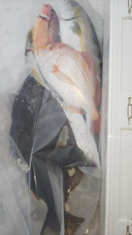 第二龍勢丸 釣果