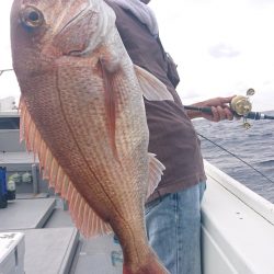 だて丸 釣果