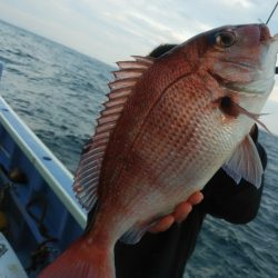新幸丸 釣果