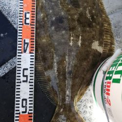 第二龍勢丸 釣果