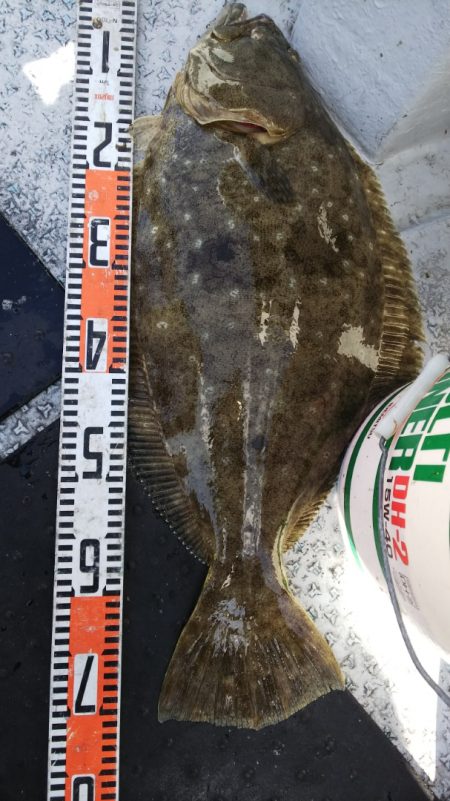 第二龍勢丸 釣果