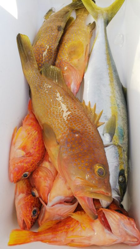 第二龍勢丸 釣果