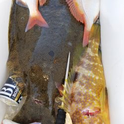 第二龍勢丸 釣果