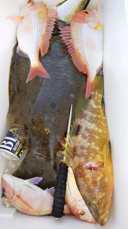 第二龍勢丸 釣果