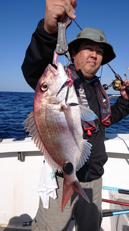 ARCADIAⅡ (アルカディアⅡ) 釣果